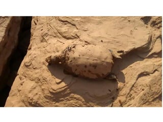 Apresentação Bacia Rio Doce 