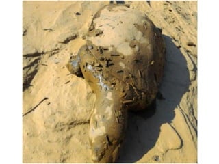 Apresentação Bacia Rio Doce 