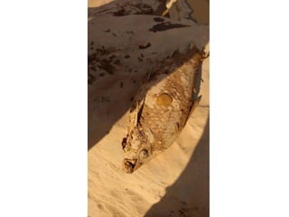 Apresentação Bacia Rio Doce 