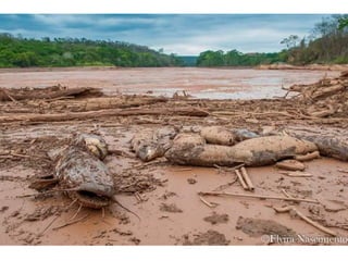 Apresentação Bacia Rio Doce 