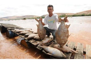 Apresentação Bacia Rio Doce 