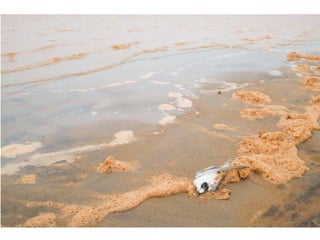 Apresentação Bacia Rio Doce 