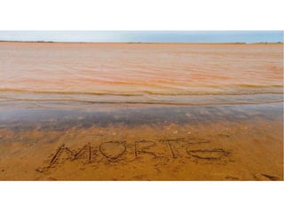 Apresentação Bacia Rio Doce 