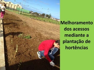 Melhoramento
dos acessos
mediante a
plantação de
hortências
 