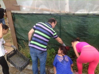 Realização de Culturas
 