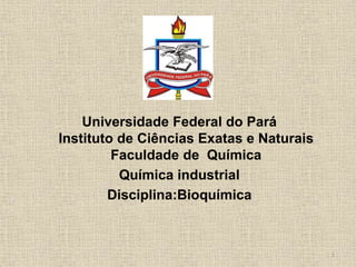 Universidade Federal do Pará
Instituto de Ciências Exatas e Naturais
Faculdade de Química
Química industrial
Disciplina:Bioquímica
1
 