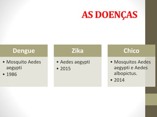 AS DOENÇAS
Dengue
• Mosquito Aedes
aegypti
• 1986
Zika
• Aedes aegypti
• 2015
Chico
• Mosquitos Aedes
aegypti e Aedes
albopictus.
• 2014
 
