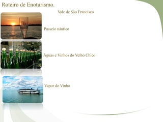 Roteiro de Enoturismo.
Vale de São Francisco
Passeio náutico
Águas e Vinhos do Velho Chico
Vapor do Vinho
 