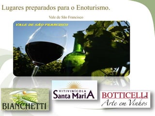 Lugares preparados para o Enoturismo.
Vale de São Francisco
 