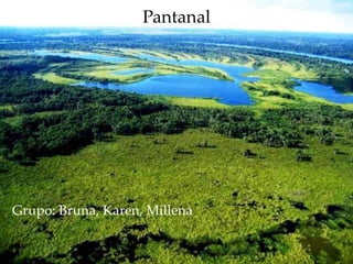 5/10/2016 1Footer Text
Pantanal
Clique para adicionar
texto
Pantanal
Grupo: Bruna, Karen, Millena
 