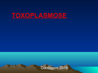 TOXOPLASMOSE
Contagem 2016
 
