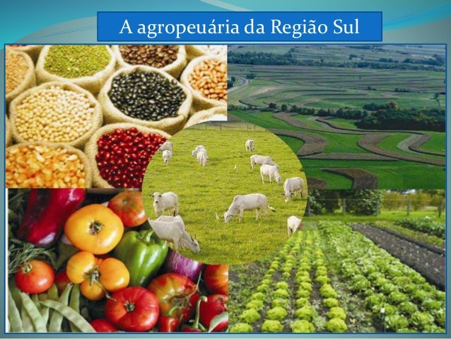 Economia da região sul
