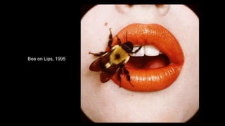 Bee on Lips, 1995
 