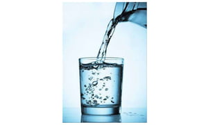 "Somos Físicos" Gorduras e Polaridade