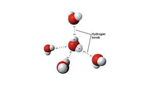 "Somos Físicos" Gorduras e Polaridade