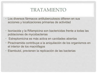TRATAMIENTO
• Los diversos fármacos antituberculosos difieren en sus
acciones y localizaciones primarias de actividad
• Isoniacida y la Rifampicina son bactericidas frente a todas las
poblaciones de mycobacterias
• Estreptomicina es más activa en cavidades abiertas
• Pirazinamida contribuye a la aniquilación de los organismos en
el interior de los macrófagos
• Etambutol, previenen la replicación de las bacterias
 