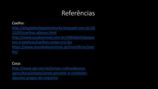 Referências
Coelho:
http://blogdabiologaplantevida.blogspot.com.br/20
12/07/coelhos-albinos.html
http://www.saudeanimal.com.br/2464/pets/peque
nos-e-exoticos/coelhos-como-cria-los
https://www.mundodosanimais.pt/mamiferos/coel
ho/
Coco:
http://www.cpt.com.br/cursos-cultivodecoco-
agricultura/artigos/como-prevenir-e-combater-
algumas-pragas-do-coqueiro
 