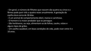Clique para adicionar textoClique para adicionar texto
- Em geral, o número de filhotes que nascem são quatro ou cinco e a
fêmea pode parir três a quatro vezes anualmente. A gestação da
coelha dura cerca de 30 dias.
- É um animal de comportamento dócil, manso e carinhoso.
- O homem é o maior predador que os persegue.
- São herbívoros, ou seja, alimentam-se de folhas, caules, raízes e
alguns tipos de grãos.
- Um coelho saudável, em boas condições de vida, pode viver entre 5 e
10 anos.
Clique para adicionar texto
 