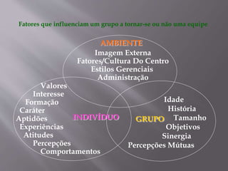 Fatores que influenciam um grupo a tornar-se ou não uma equipe
Imagem Externa
Fatores/Cultura Do Centro
Estilos Gerenciais
Administração
Valores
Interesse
Formação
Caráter
Aptidões
Experiências
Atitudes
Percepções
Comportamentos
Idade
História
Tamanho
Objetivos
Sinergia
Percepções Mútuas
INDIVÍDUO
AMBIENTE
GRUPO
 