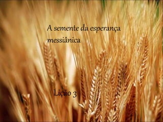 A semente da esperança
messiânica
Lição 3
 