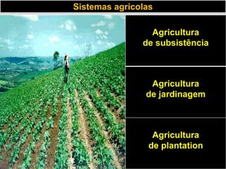 Sistemas agrícolas
Agricultura
de subsistência
Agricultura
de jardinagem
Agricultura
de plantation
