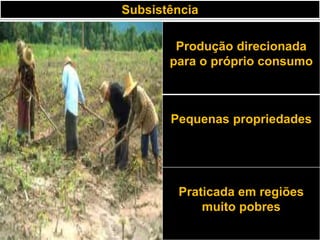 Subsistência
Produção direcionada
para o próprio consumo
Pequenas propriedades
Praticada em regiões
muito pobres