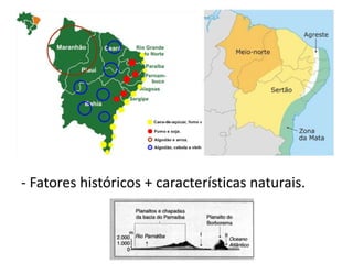 - Fatores históricos + características naturais.