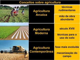 Conceitos sobre agricultura
Agricultura
Arcaica
técnicas
rudimentares
mão de obra
abundante
Agricultura
Moderna
século XVIII
técnicas para o
uso do solo
Agricultura
Contemporânea
fase mais evoluída
mecanização do
campo