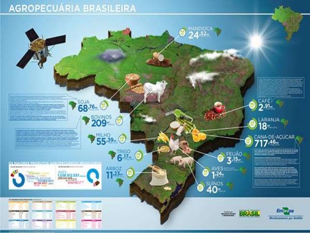 Trabalho e educação no brasil Trabalho e educação no brasil