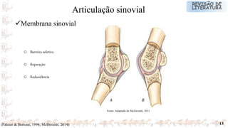 13
Fonte: Adaptado de Mcllwraith, 2011
(Palmer & Bertone, 1994; Mcllwraith, 2014)
Membrana sinovial
Articulação sinovial
o Barreira seletiva
o Reparação
o Redundância
 