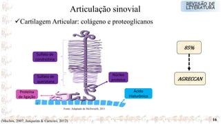 16
Fonte: Adaptado de Mcllwraith, 2011
(Mochos, 2007; Junqueira & Carneiro, 2012)
Cartilagem Articular: colágeno e proteoglicanos
Articulação sinovial
85%
AGRECCAN
Sulfato de
condroitina
Sulfato de
queratana
Ácido
Hialurônico
Proteína
de ligação
Núcleo
proteico
 