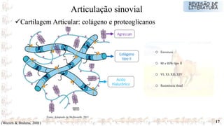17
o Estrutura
o 90 a 95% tipo II
o VI; XI; XII; XIV
o Resistência tênsil
Fonte: Adaptado de Mcllwraith, 2011
(Weeren & Brahma, 2001)
Cartilagem Articular: colágeno e proteoglicanos
Articulação sinovial
Agreccan
Colágeno
tipo II
Ácido
Hialurônico
 
