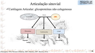 18(Heinegard, 1994; Wereen & Brahma, 2001; Mochos, 2007; Weeren, 2016)
Cartilagem Articular: glicoproteínas não colagenosas
Articulação sinovial
Condrócitos
Fibronectina Condronectina COMP
Reparação
tecidual
Colágeno tipo II Dano articular
Adesão
 