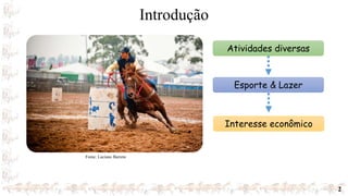 Introdução
2
Atividades diversas
Esporte & Lazer
Interesse econômico
Fonte: Luciano Barreto
 