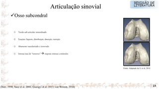 23
o Tecido sub-articular mineralizado
o Funções: Suporte, distribuição, absorção, nutrição
o Altamente vascularizado e invervado
o Intensa taxa de “turnover”  resposta intensa a estímulos
(Burr, 1998; Sanz et al, 2006; Guangyi et al, 2013; van Wereen, 2016)
Osso subcondral
Articulação sinovial
Fonte: Adaptado de Li et al, 2014
 