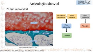 24
Fonte: Adaptado de Guangyi Li, 2013
Osso subcondral
Articulação sinovial
Osso
Trabecular
Absorção
Cartilagem
calcificada
Osso
Lamelar
Placa
subcondral
+
Conexão
(Burr, 1998; Sanz et al, 2006; Guangyi et al, 2013; van Wereen, 2016)
 