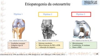 25(Katzenstein et al, 1990; Knowlton et al, 1990; Hough et al, 1997; Dekequer, 1998; Caron, 2011)
Etiopatogenia da osteoartrite
o Condições normais
o Colágeno tipo II
o Humanos
o Estresse mecânico
o Micro-fraturas da PSC e OTB
o < absorção de impacto
Fonte: Adaptado de Yuan-Hun-Xu, 2015Fonte: Adaptado de Pezaratt, 2014
o Microtraumas
o Condrócitos  enzimas
o Dano a MEC
Fonte: Adaptado de Yuan-Hun-Xu, 2015
 