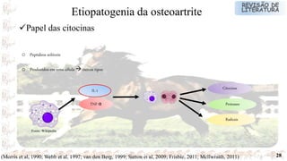 28
o Peptídeos solúveis
o Produzidos em uma célula  outros tipos
(Morris et al, 1990; Webb et al, 1997; van den Berg, 1999; Sutton et al, 2009; Frisbie, 2011; Mcllwraith, 2011)
Papel das citocinas
Etiopatogenia da osteoartrite
Fonte: Wikipedia
IL-1
TNF-α
Citocinas
Proteases
Radicais
 