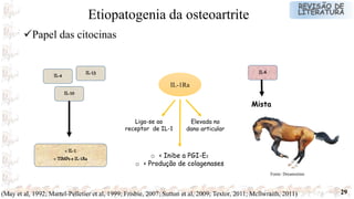 29
IL-1Ra
o < Inibe a PGI-E2
o < Produção de colagenases
Liga-se ao
receptor de IL-1
Elevada no
dano articular
(May et al, 1992; Martel-Pelletier et al, 1999; Frisbie, 2007; Sutton et al, 2009; Textor, 2011; Mcllwraith, 2011)
Papel das citocinas
Etiopatogenia da osteoartrite
IL-4
IL-10
IL-13
< IL-1
> TIMPs e IL-1Ra
IL-6
Mista
Fonte: Dreamstime
 