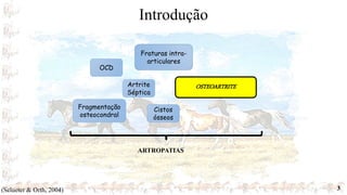 3
OCD
Cistos
ósseos
Artrite
Séptica
Fraturas intra-
articulares
Fragmentação
osteocondral
OSTEOARTRITE
ARTROPATIAS
Introdução
(Sclueter & Orth, 2004)
 