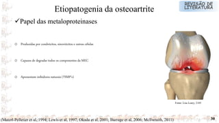 30
o Produzidas por condrócitos, sinoviócitos e outras células
o Capazes de degradar todos os componentes da MEC
o Apresentam inibidores naturais (TIMP’s)
Papel das metaloproteinases
Etiopatogenia da osteoartrite
Fonte: Lisa Leary, 2105
(Materl-Pelletier et al, 1994; Lewis et al, 1997; Okada et al, 2001; Burrage et al, 2006; Mcllwraith, 2011)
 
