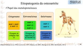 31
Colagenases
MMP-1 MMP-
8 MMP-13
Clivagem do
colágeno tipo
II
Estromelisinas
MMP-3
MMP-10
MMP-11
Clivagem do
aggrecan (2º
as ADAMTS)
Gelatinases
MMP-2
MMP-9
Clivagem do
colágeno e
elastina
Papel das metaloproteinases
Etiopatogenia da osteoartrite
Fonte: Pinterest®
(Materl-Pelletier et al, 1994; Lewis et al, 1997; Okada et al, 2001; Burrage et al, 2006; Mcllwraith, 2011)
 