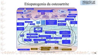34
Etiopatogenia da osteoartrite
Fonte: Adaptado de Mcllwraith, 2011
 