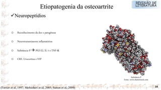 35
o Reconhecimento da dor e patogênese
o Neurotransmissores inflamatórios
o Substância P  PGI-E2, IL-1 e TNF-α
o CRF, Urocortina e VIP
Neuropeptídios
Etiopatogenia da osteoartrite
Substância P
Fonte: www.shutterstock.com
(Fortier et al, 1997; Mobasheri et al, 2005; Sutton et al, 2009)
 