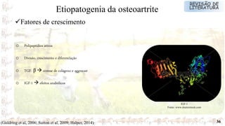 36
Fatores de crescimento
Etiopatogenia da osteoartrite
o Polipeptídios ativos
o Divisão, crescimento e diferenciação
o TGF- β  síntese de colágeno e aggrecan
o IGF-1  efeitos anabólicos
IGF-1
Fonte: www.shutterstock.com
(Goldring et al, 2006; Sutton et al, 2009; Halper, 2014)
 