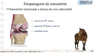38
o Esclerose inicial  < absorção
o Fragmentação  fibrilação e erosão focal
o Instabilidade articular
Osteoartrite relacionada a doença do osso subcondral
Etiopatogenia da osteoartrite
Fonte: www.curapelanatureza.com
Fonte: Renansan®
(Radin et al, 1986; Kawack et al, 2001; Mcllwraith, 2011)
 