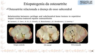 39
Grupo controle OA inicial OA avançada
Osteoartrite relacionada a doença do osso subcondral
Etiopatogenia da osteoartrite
 