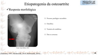 40
o Processo patológico secundário
o Osteófitos
o Tentativa de estabilizar
o Dias ou semanas
Resposta morfológica
Etiopatogenia da osteoartrite
Fonte: Grant Miller, 2014
(Jonhston, 1997; Mcllwraith, 2014; Mcllwraith, 2016)
 
