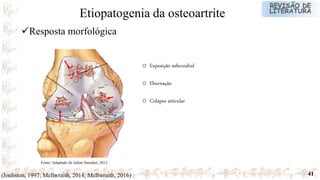 41
o Exposição subcondral
o Eburnação
o Colapso articular
Fonte: Adaptado de Julian Stoodart, 2012
Resposta morfológica
Etiopatogenia da osteoartrite
(Jonhston, 1997; Mcllwraith, 2014; Mcllwraith, 2016)
 