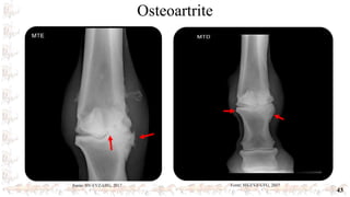 Osteoartrite
43
Fonte: HV-EVZ-UFG, 2017 Fonte: HV-EVZ-UFG, 2017
 